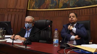 بدلا من ١٤٠ قرشا.. الخطة والموازنة: 100 جنيه رسما سنويا على كل مالك سيارة بها اجهزة اليكترونية أو ترفيهية