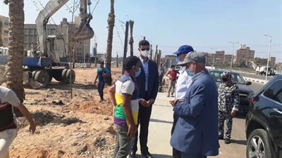 تجميل وتشجير منطقة ربط محور مصر الجديدة بطريق شبرا بنها الحر.. بالصور