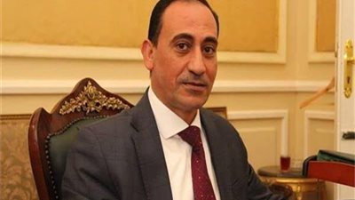 وكيل نقل البرلمان: نحتاج إلى التوسع في إنشاء مسارات خاصة بالمشاة للحد من ظاهرة دهس المواطنين