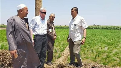 الشرقية تطور أنظمة الري لترشيد إستهلاك المياه وتحسين جودة الأراضي الزراعية