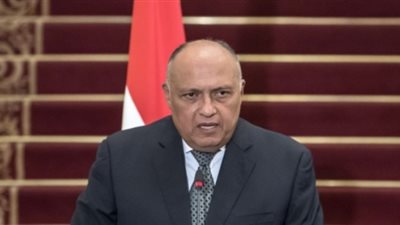 وزير الخارجية أمام مجلس الأمن: لن نتسامح مع أى تهديد يقترب من حدودنا