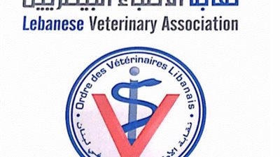تأجيل انتخابات التجديد النصفى للبيطريين ل 26 أغسطس