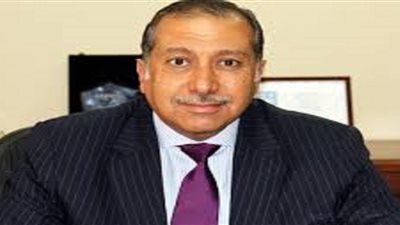 رئيس لجنة البنوك: أزمة «سد النهضة» تتطلب الإسراع في تفعيل نشاط صندوق ضمان مخاطر الاستثمار في إفريقيا
