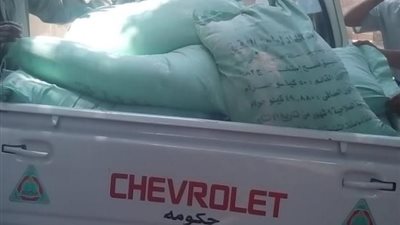 ضبط 25 شيكارة دقيق بلدي وتحرير 19 محضراً لمخالفات بالمخابز والمحال فى الواسطى