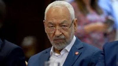 برلماني تونسي: فكرة الإطاحة بـ 