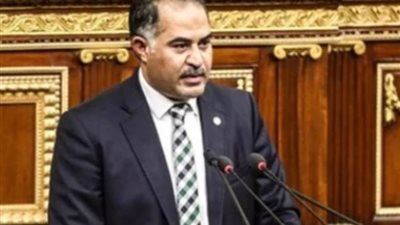 وكيل النواب: قرار البرلمان الليبي تاريخي والقيادة السياسية والشعب المصري لن يتخلى عن الأشقاء في ليبيا