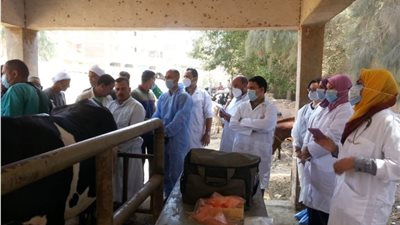 الزراعة
