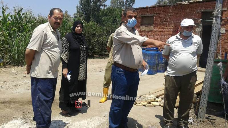 بوابة الجمهورية