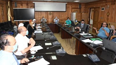 ميكنة قطاعات العمل بجامعة قناة السويس