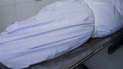 يدفع حياته ثمنا لرى الأرض بالشرقية