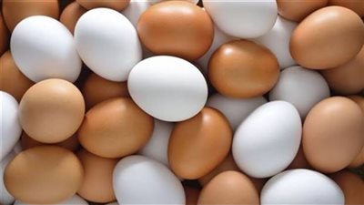 أسعار كرتونة البيض اليوم الأربعاء 22 يوليو 2020