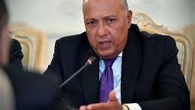 شكري يجري إتصاليّن مع نظيريّه الفرنسي والألماني لبحث تطورات الأوضاع في ليبيا