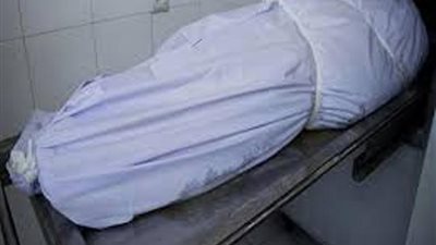 مصرع شخص إثر تصادم قطار بجرار زراعى بمنية النصر في الدقهلية