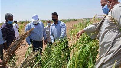 الزملوط يكافئ مزارع ب10 أفدنة تقديرا لجديته بالوادى الجديد