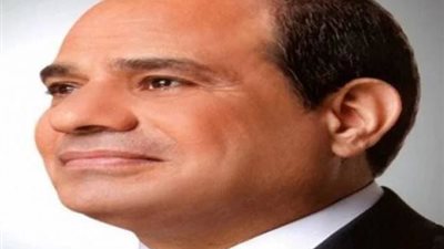 الرئيس: خالص التحية لرمز ثورة يوليو محمد نجيب وقائدها جمال عبد الناصر