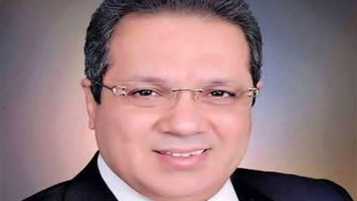 برلمانية المؤتمر: المصريون قادرون على مواجهة الشائعات الالكترونية من قوى الشر والظلام والارهاب