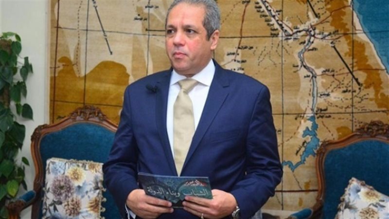 النائب أحمد حلمى