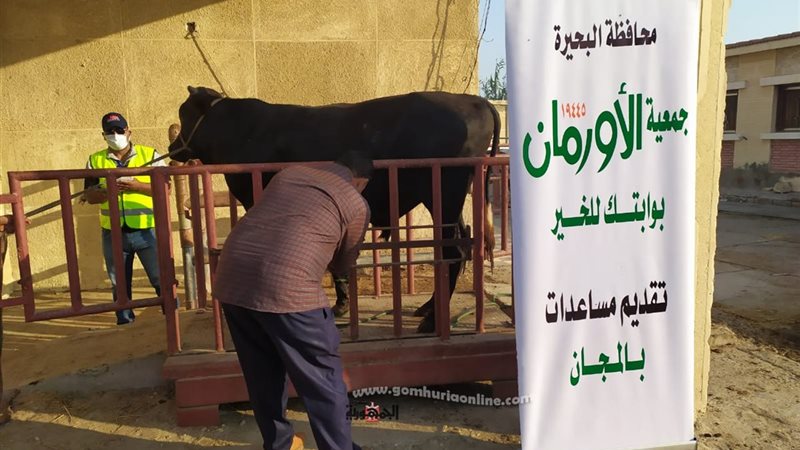 بوابة الجمهورية