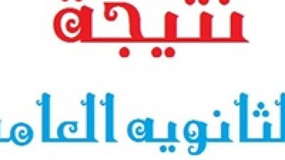 بالاسم ورقم الجلوس نتيجة الثانوية العامة 2020 فور اعتمادها اليوم