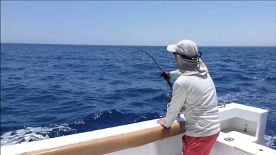 وقف صيد الأسماك بالبحر الأحمر 7 أشهر