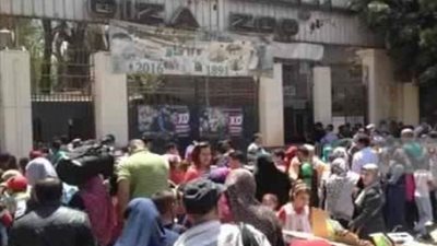 أقدم جنينة حيوانات في الشرق الأوسط تشكو الإهمال