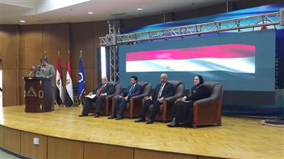 نيفين جامع: 316 مليون جنيه تمويلات جهاز المشروعات للشباب في السويس