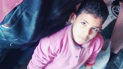 مصرع طفل سقط في بيارة بالدقهلية