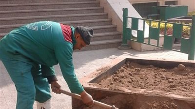 تجميل وتشجير ساحة ديوان محافظة القاهرة