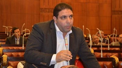 الجمال: قدمت مقترحا لـ