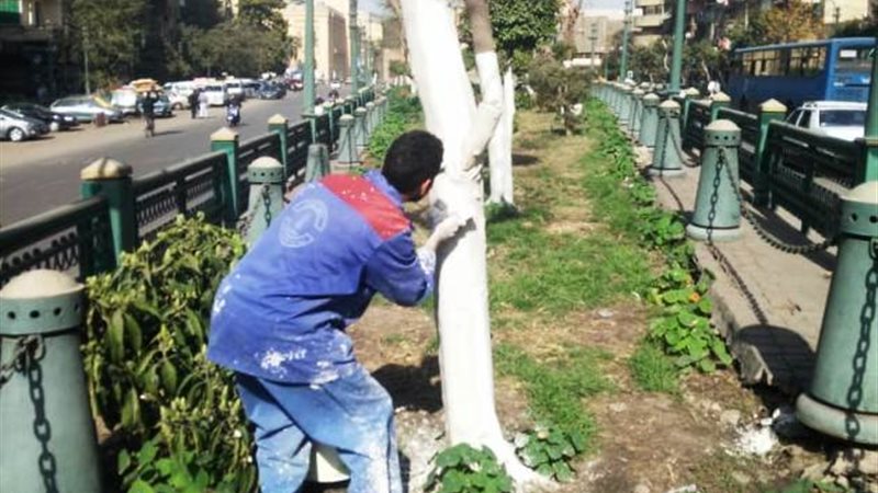 بوابة الجمهورية