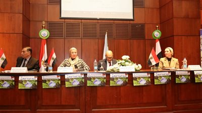 التعليم من اجل التنميه المستدامه رؤيه مصريه تواكب العالميه