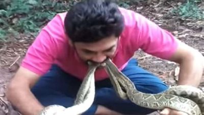 بالفيديو .. رجل يضع 4 افاعى سامه بفمه .. والسبب مفاجأة