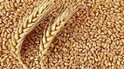 تموين تتعاقد علي ٣٦٠ الف طن قمح مستورد والاحتياطي يكفي ٥ اشهر