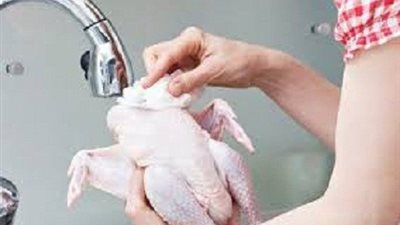 دراسة تحذر من غسل الدجاج قبل طهيه.. تعرف على الأسباب .. فيديو