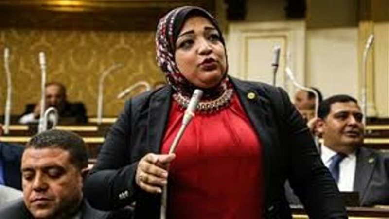 النائبة مي محمود