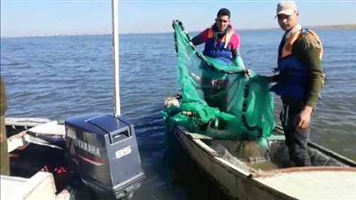محافظ كفرالشيخ يتابع حملة إزالة التعديات على بحيرة البرلس