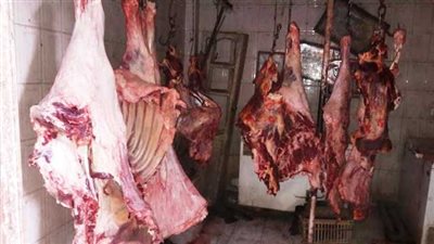 ضبط جزار لعرضه 458 كجم لحوم بلدية غير صالحة للاستهلاك الآدمي بديروط