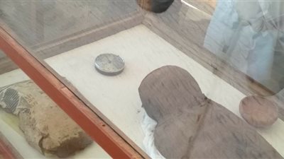 المشاط : الاكتشافات الأثرية تصب في مصلحة السياحة وتظهر للعالم حجم مصر