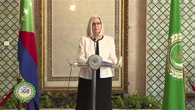 أبو غزالة :الإرهاب والتنمية الاجتماعية و مكافحة التدخين أهم أولويات المجلس الاجتماعي والاقتصادي