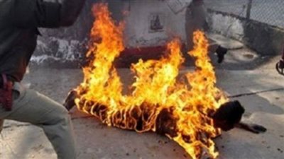 يشعل النيران في نفسة لعدم قدرته علي توفير نفقات الزواج بالدقهلية
