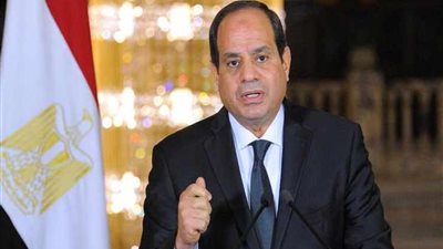 وزير الري: الرئيس السيسي أكد ضرورة محاربة الإرهاب في إفريقيا
