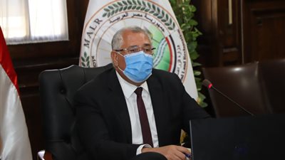 الزراعة والرى: حظر زراعات الأرز فى غير المناطق المصرح بها ورصد مخالفات زراعة الموز بالأقمار الصناعية