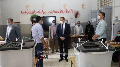 مشاجرة بين أنصار بعض المرشحين فى البتانون ... وجولات مكوكية لمحافظ المنوفية على لجان إنتخابات مجلس الشيوخ