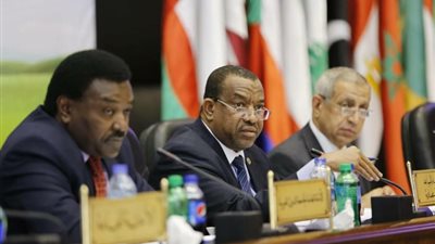 رئيس الأكاديمية العربية يشارك في إجتماع منظمات ومؤسسات العمل العربى المشترك لدعم ومساندة لبنان