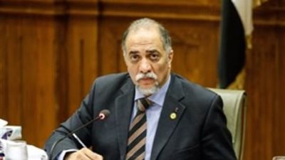 رئيس ائتلاف دعم مصر .. قانون تقسيم الدوائر حساس وليست هناك حسابات شخصية