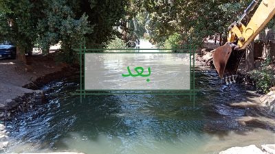 رفع 10 أطنان قمامة ومخلفات بمركز الطود جنوب الأقصر