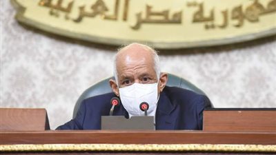 عبد العال: قانون تقسيم الدوائر الانتخابية فني لا يمكن ان يرضي كل النواب