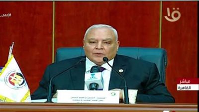 الهيئة الوطنية تكشف التفاصيل الكاملة لنتائج انتخابات مجلس الشيوخ
