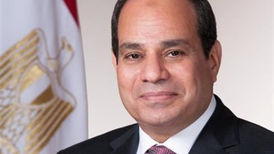 عاجل.. الرئيس يصدر قانون تقسيم دوائر انتخابات مجلس النواب