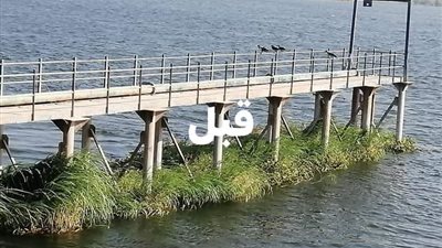 تطهير مأخذ مرشح مياه 